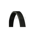 Curea transmisie caneluri CONTINENTAL CTAM 5PK1236 ELAST