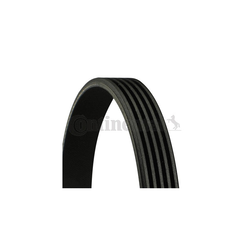 Curea transmisie caneluri CONTINENTAL CTAM 5PK1236 ELAST