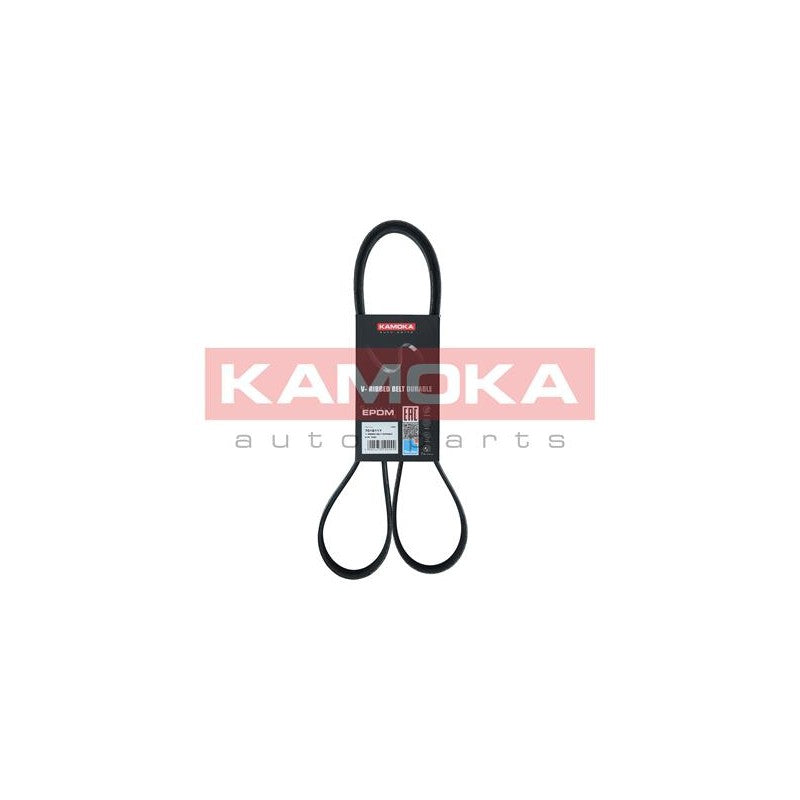Curea transmisie caneluri KAMOKA 7016117