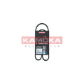 Curea transmisie caneluri KAMOKA 7014044