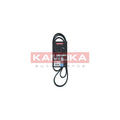 Curea transmisie caneluri KAMOKA 7016135
