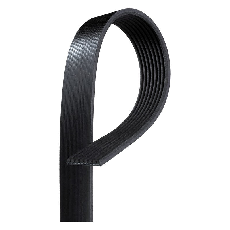 Curea transmisie caneluri SKF VKMV 8PK1122 R
