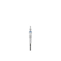 Bujie incandescenta BorgWarner (BERU) GN1017