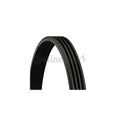 Curea transmisie caneluri CONTINENTAL CTAM 4PK860 ELAST