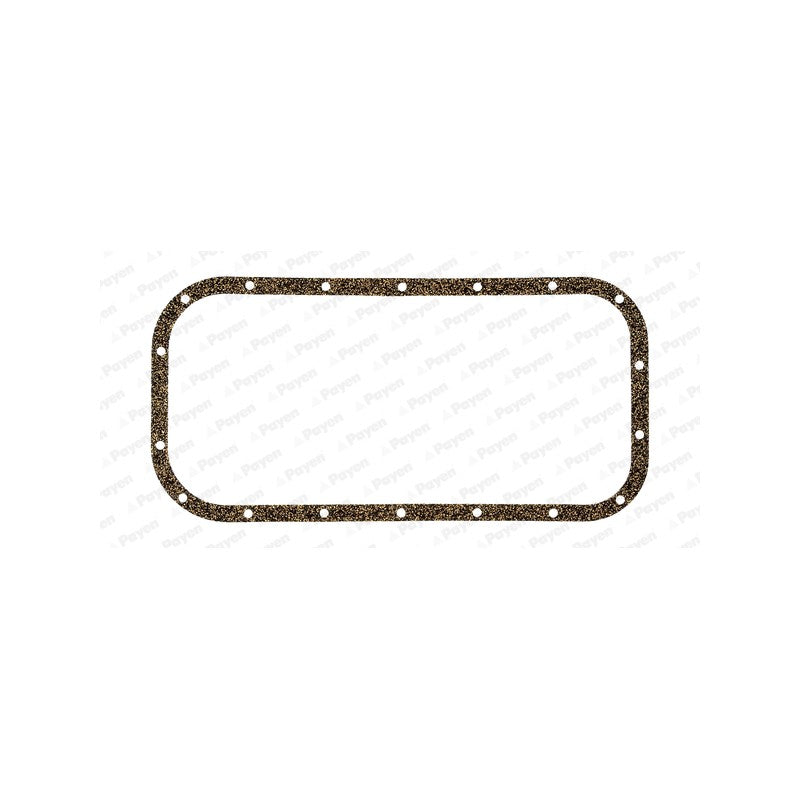Garnitura baie ulei PAYEN JJ341