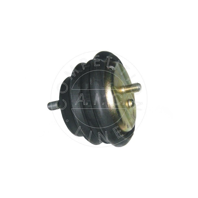 Suport motor AIC 50237