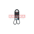 Curea transmisie caneluri KAMOKA 7015040