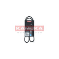 Curea transmisie caneluri KAMOKA 7015028