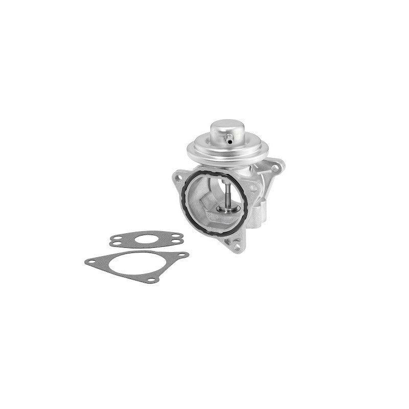 Supapa EGR BorgWarner 7496D