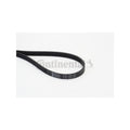 Curea transmisie caneluri CONTINENTAL CTAM 5PK1245