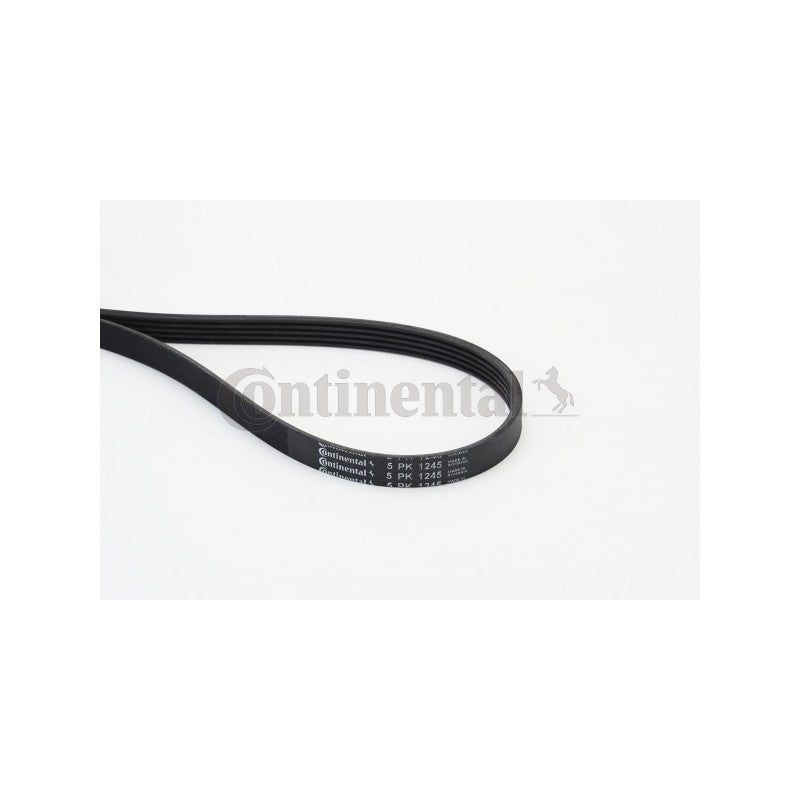 Curea transmisie caneluri CONTINENTAL CTAM 5PK1245