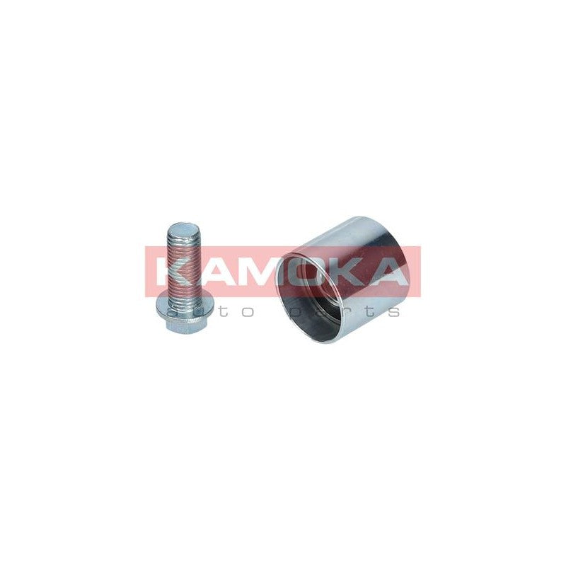 Amortizor vibratie curea distributie KAMOKA R0201