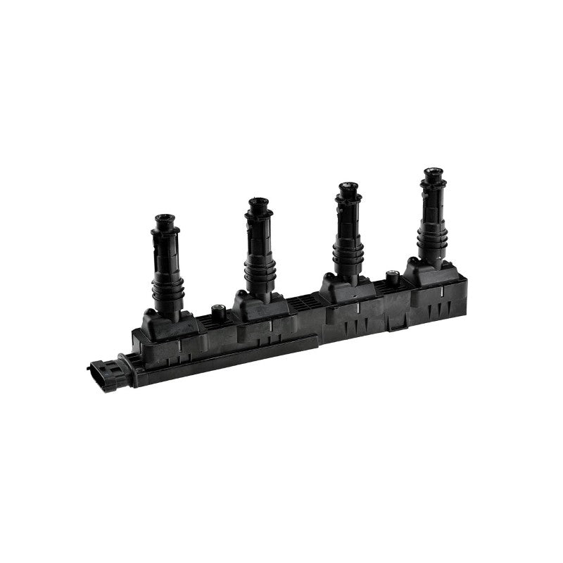 Bobina inductie MTR 12161398