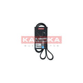 Curea transmisie caneluri KAMOKA 7017022