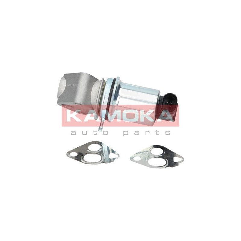 Supapa EGR KAMOKA 19006