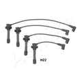 Set fise bujii Ashika 132-0H-H22