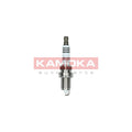Bujie KAMOKA 7100040