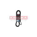 Curea transmisie caneluri KAMOKA 7016240