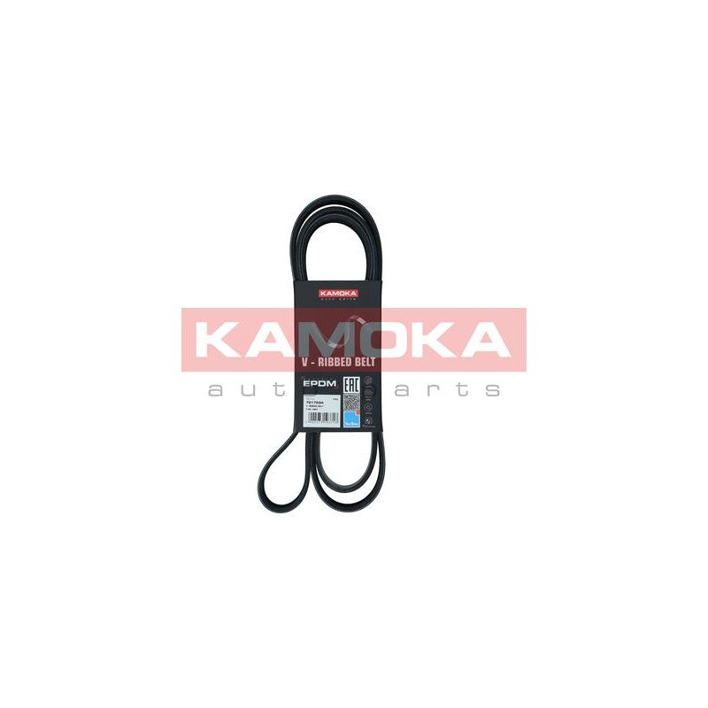 Curea transmisie caneluri KAMOKA 7017034
