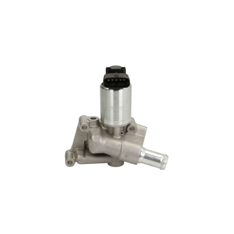 Supapa EGR MTR 13054250