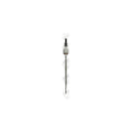 Bujie incandescenta BorgWarner (BERU) PSG006