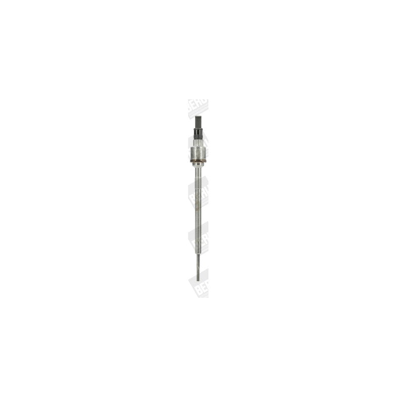 Bujie incandescenta BorgWarner (BERU) PSG006