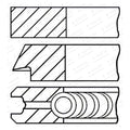 Set segmenti GOETZE 08-446100-00