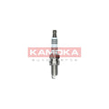 Bujie KAMOKA 7100048
