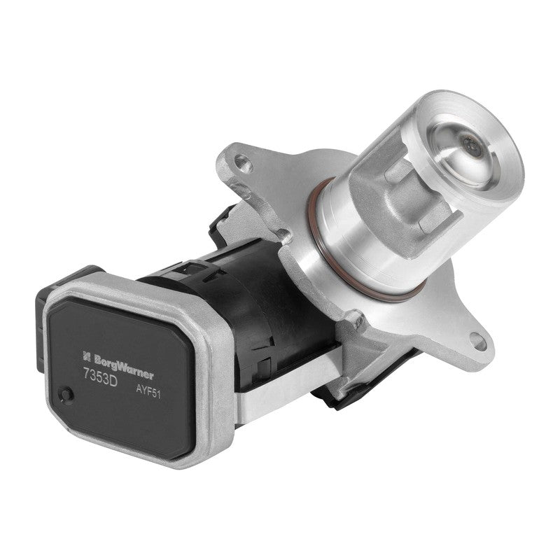 Supapa EGR BorgWarner 7353D
