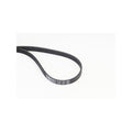 Curea transmisie caneluri CONTINENTAL CTAM 5PK1441