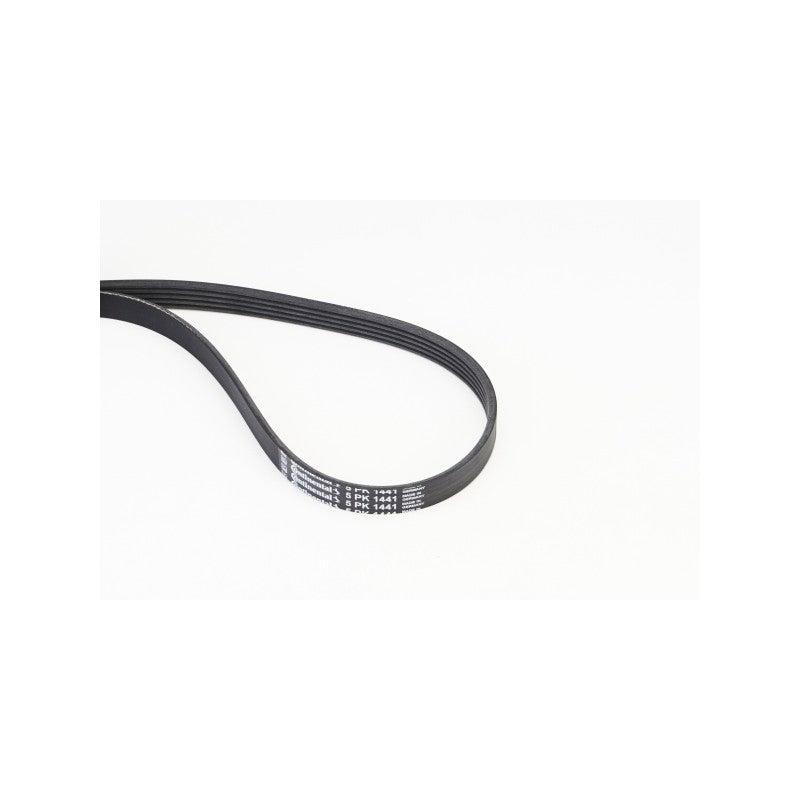 Curea transmisie caneluri CONTINENTAL CTAM 5PK1441