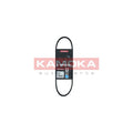 Curea transmisie caneluri KAMOKA 7014001