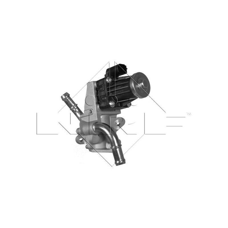 Supapa EGR NRF 48317