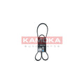 Curea transmisie caneluri KAMOKA 7016105