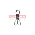 Curea transmisie caneluri KAMOKA 7016141