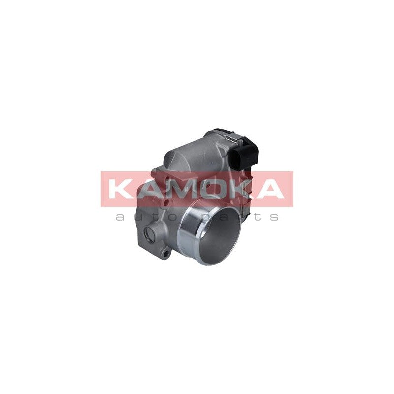 Corp clapeta acceleratie KAMOKA 112009