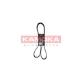 Curea transmisie caneluri KAMOKA 7016186