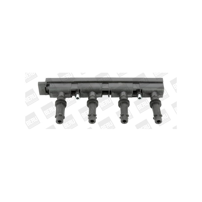 Bobina inductie BorgWarner (BERU) ZSE185