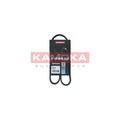 Curea transmisie caneluri KAMOKA 7014028