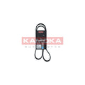 Curea transmisie caneluri KAMOKA 7016080