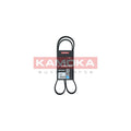 Curea transmisie caneluri KAMOKA 7016082