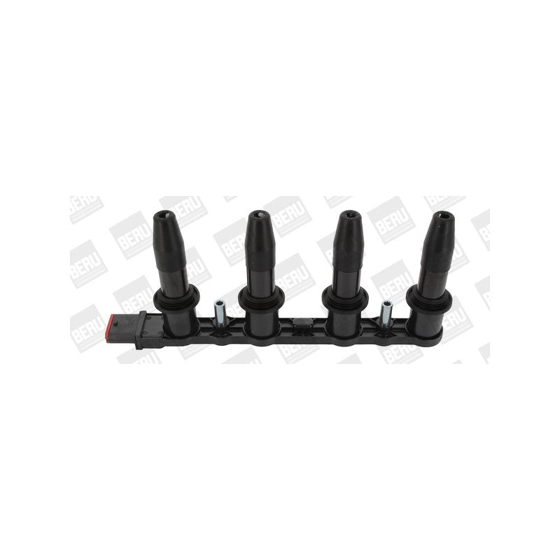 Bobina inductie BorgWarner (BERU) ZS427