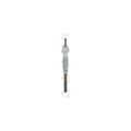Bujie incandescenta BorgWarner (BERU) GV968