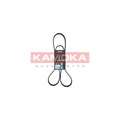 Curea transmisie caneluri KAMOKA 7016123