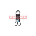 Curea transmisie caneluri KAMOKA 7015052