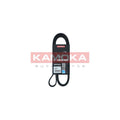 Curea transmisie caneluri KAMOKA 7015072