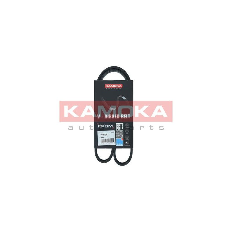 Curea transmisie caneluri KAMOKA 7016019