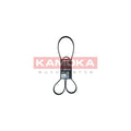 Curea transmisie caneluri KAMOKA 7016124