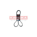Curea transmisie caneluri KAMOKA 7016136