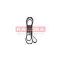 Curea transmisie caneluri KAMOKA 7016232